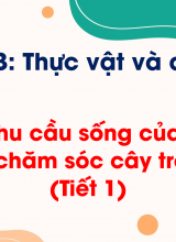 Chủ đề 3 - Bài 13 Nhu cầu sống của thực vật và chăm sóc cây trồng (Tiết 1)